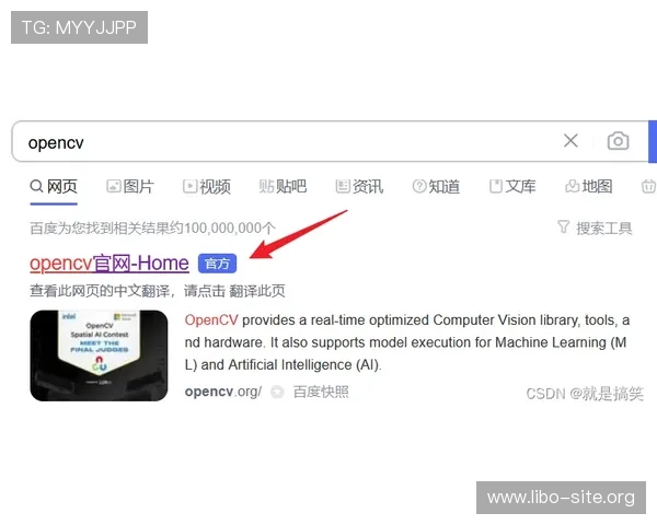 迈博真人会员登录不上可能的原因及解决方法详解