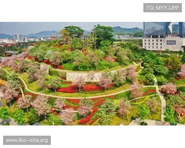 通过盛世官网入口，轻松连接生活中的每一个精彩瞬间